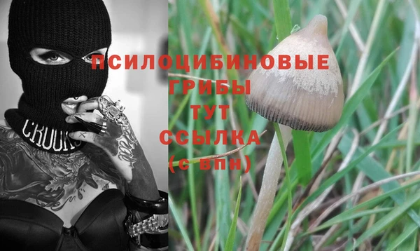 круглые Алексеевка