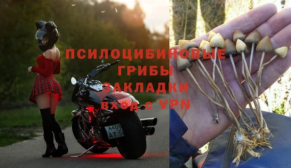 прущая мука Алзамай