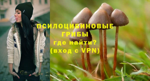 круглые Алексеевка